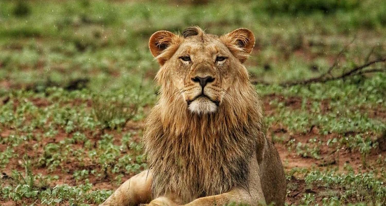 Klassische Safari & ruhige Natur - Albatros Travel Africa