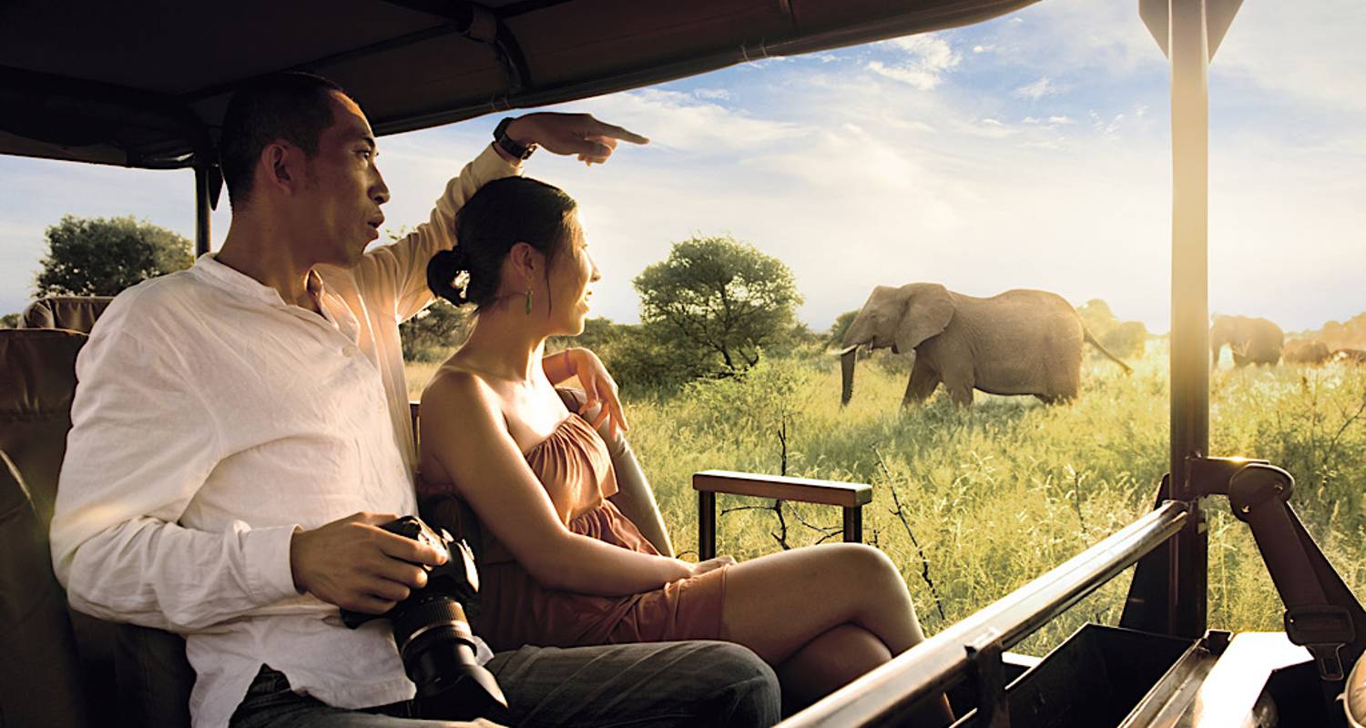 Circuits Famille de Le Cap à Johannesburg