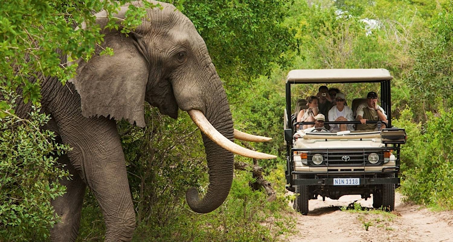 10-Days: Victoria Falls, Chobe and Okavango Delta Safari Tour from South Africa. - Kabura Travel & Tours