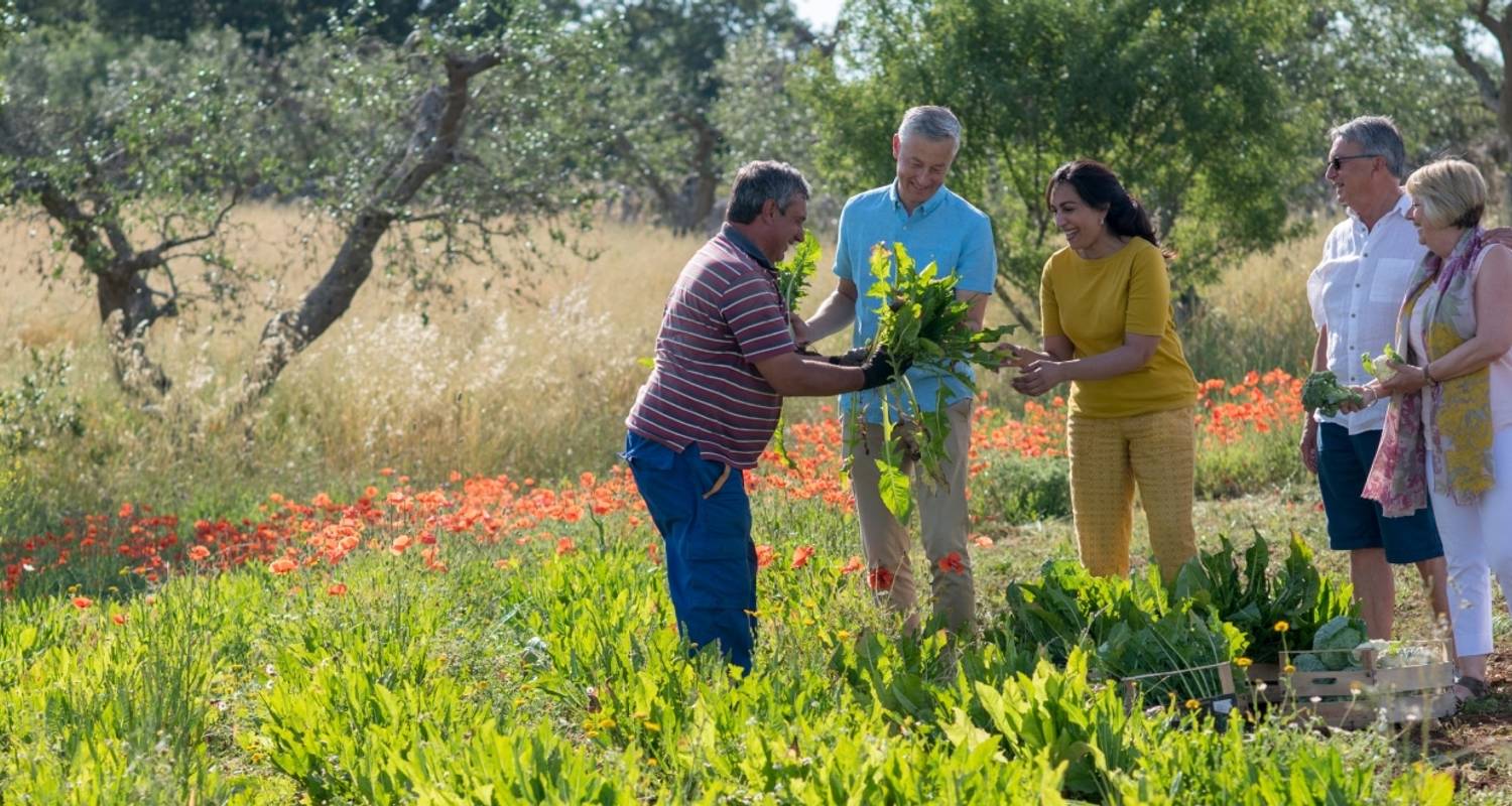 Country Roads Of Southern Italy & Sicily - Preview 2021 (14 Days) - Insight Vacations