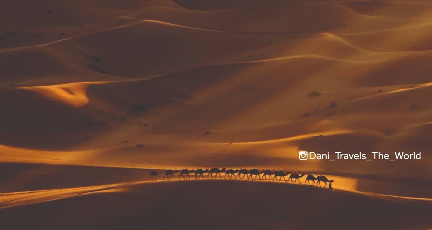 Best of Morocco (Classic, Preview 2022, 10 Days) - Insight Vacations