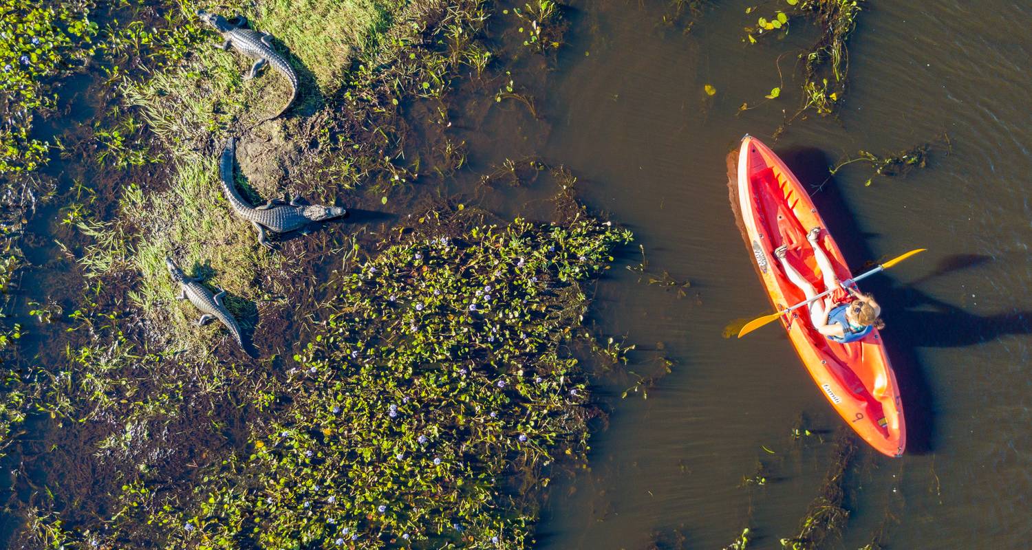 Iberá Wetlands: Nature and Wildlife - Argentina - Trips SouthAmerica