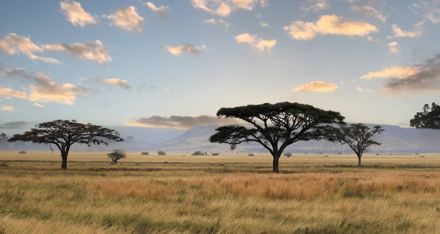 Afrika Rondreizen met internationale vluchten inbegrepen