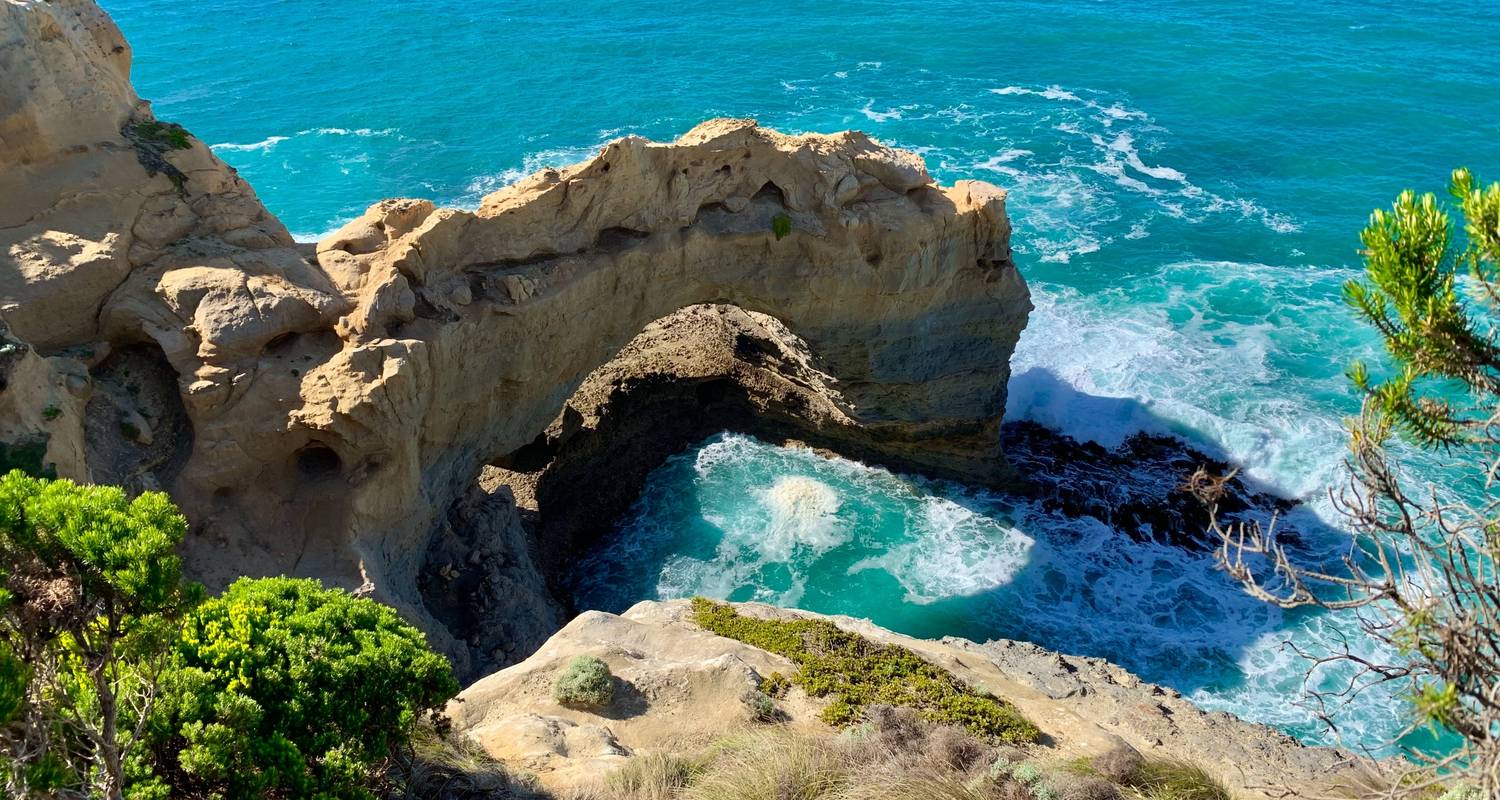 The Great Ocean Road & Kangaroo Island 2021 - Cosmos