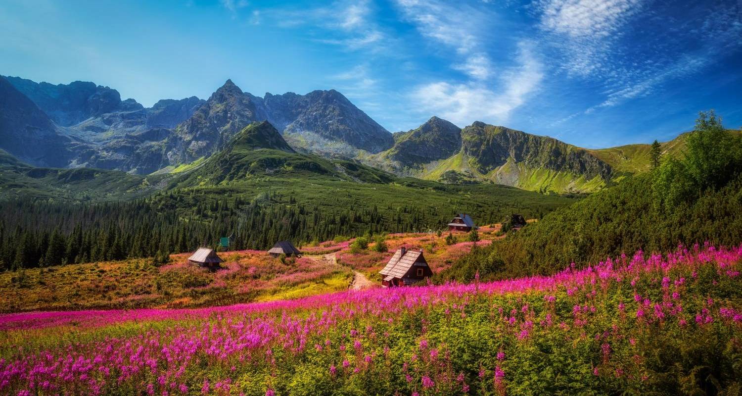 Zakopane, Babia Góra und Belianske Tatra - The Natural Adventure Company