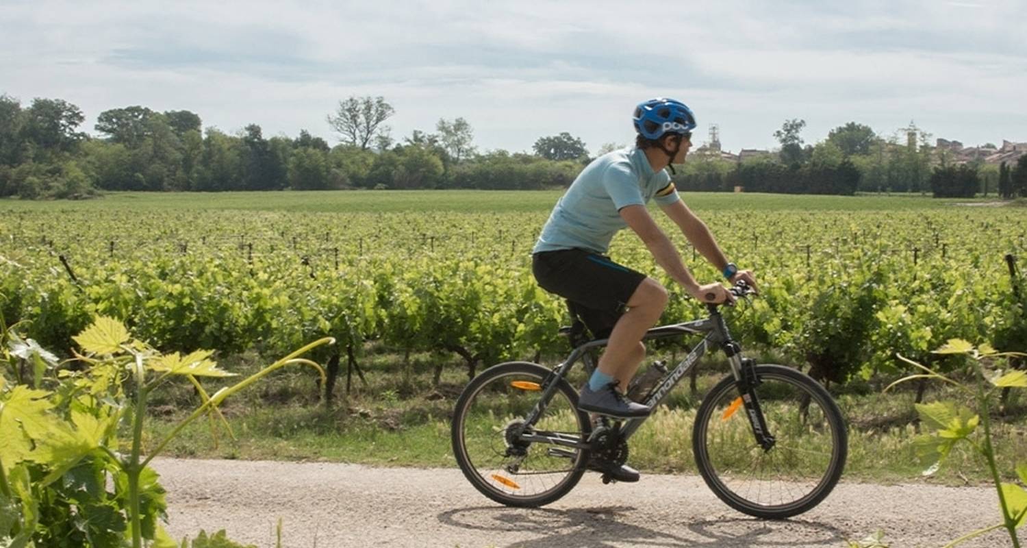 Cycle South Australia's Wine Regions - Intrepid Travel
