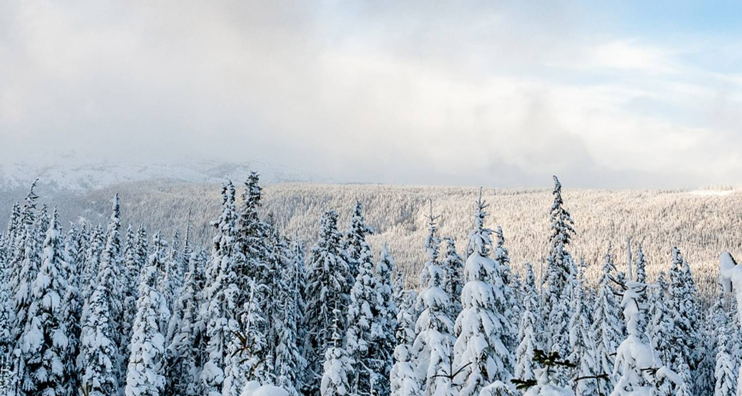 Winterabenteuer auf der Insel Vancouver - Intrepid Travel
