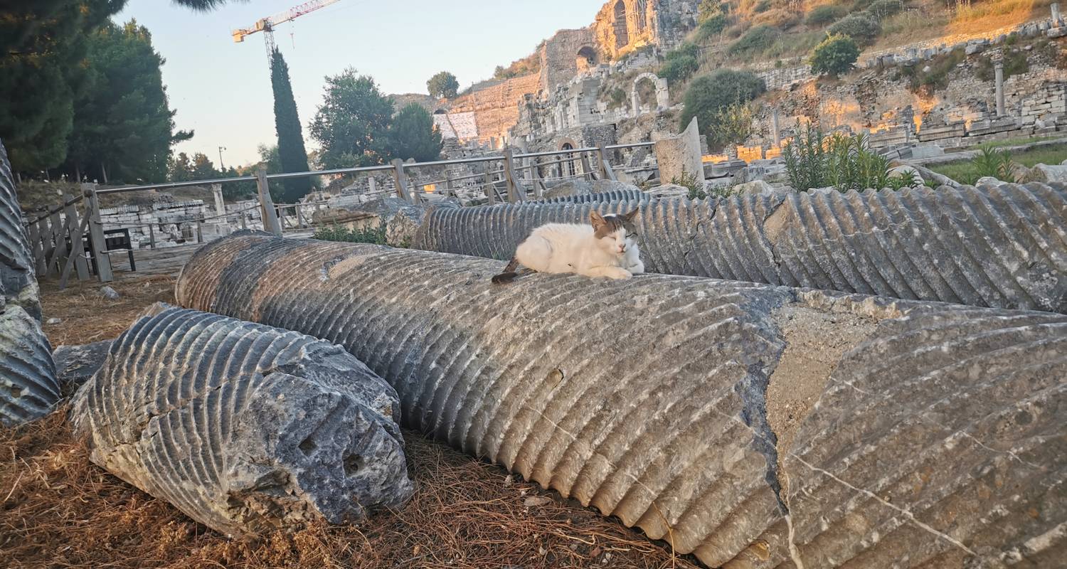 Ephesus Private Tagestour von Kusadasi oder Selcuk - Felicity Travel