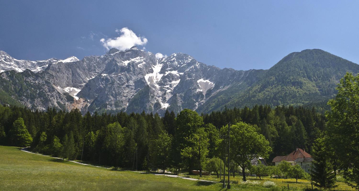 Slowenien Wandern - 3 Easy & 3 Hard am Bleder See - Helia Travel Agency
