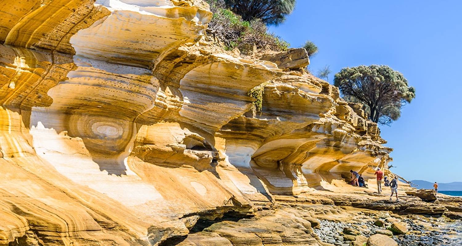 Gehen Sie durch die Ostküste von Tasmanien - Intrepid Travel