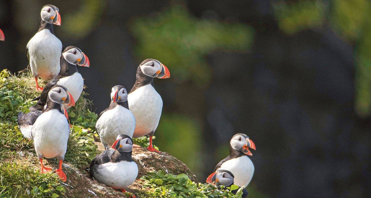 Island in der Tiefe - Scenic Luxury Cruises & Tours