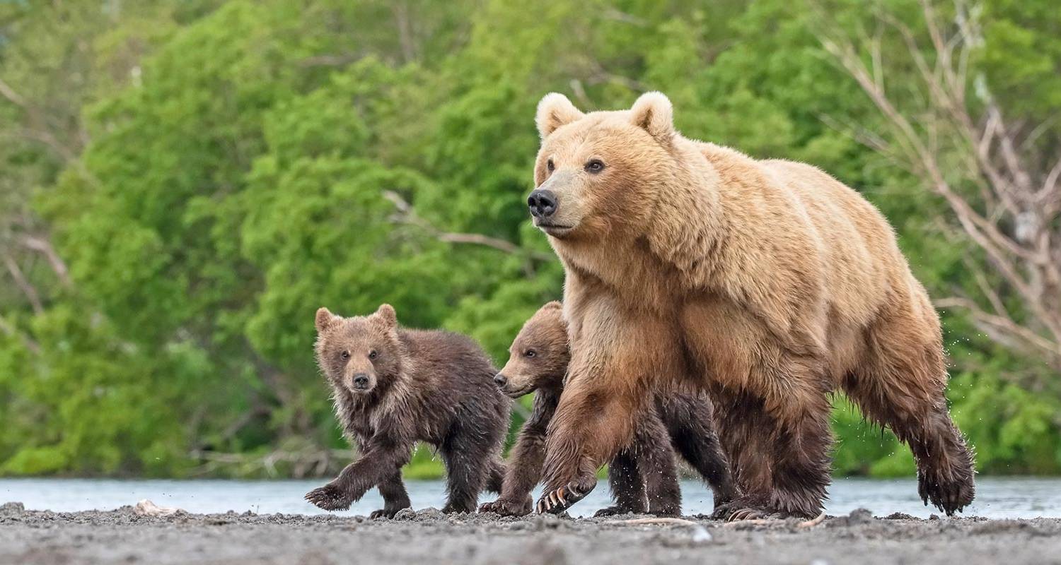 Jewels of the Russian Far East 14 Days - Scenic Luxury Cruises & Tours