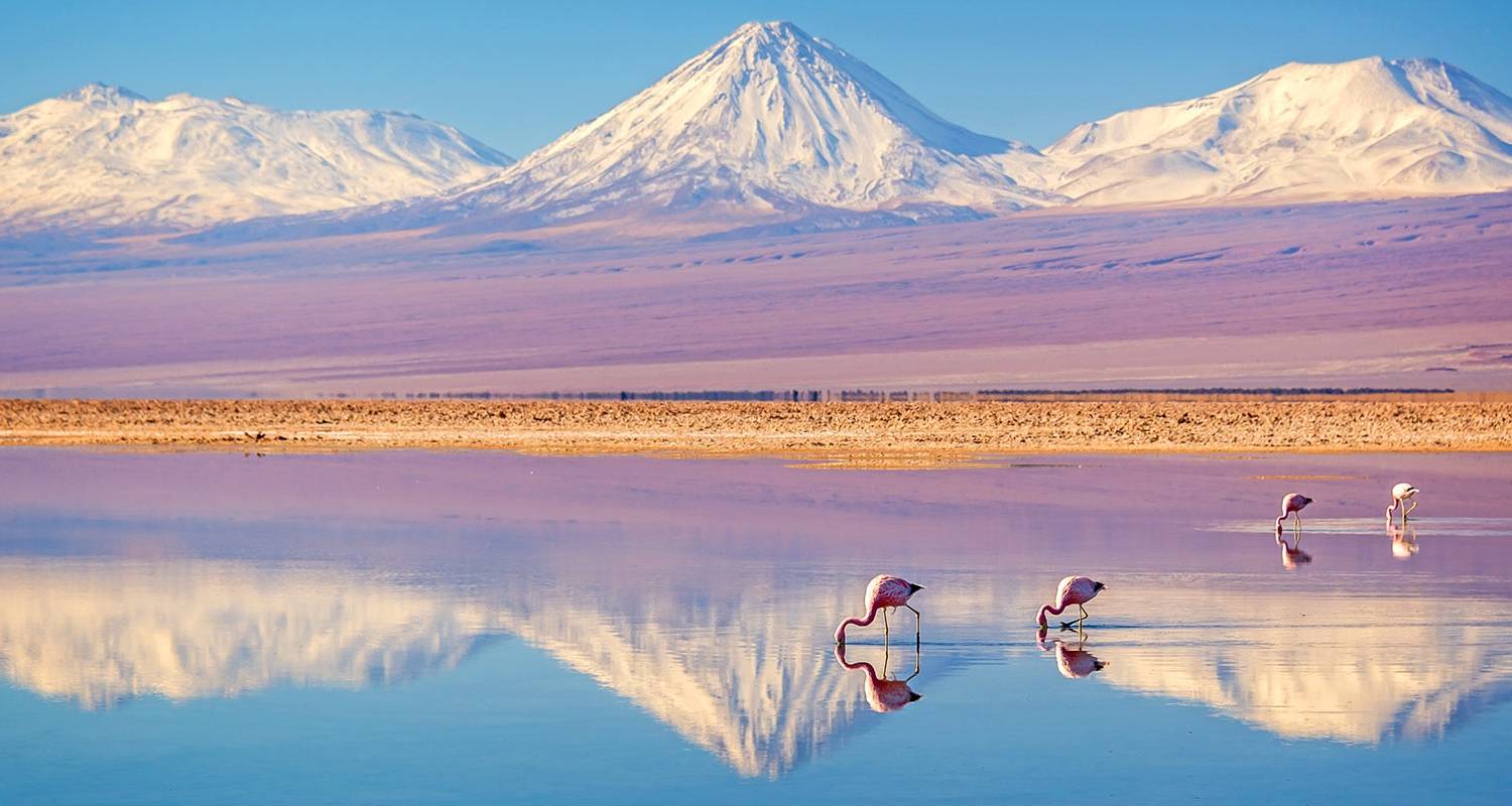 Latin America Delights 2023 (Start Callao (Lima), End Santiago) - Scenic Luxury Cruises & Tours