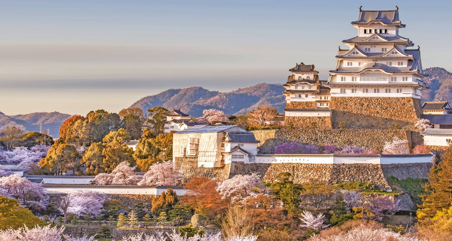 Japan im Fokus - Scenic Luxury Cruises & Tours