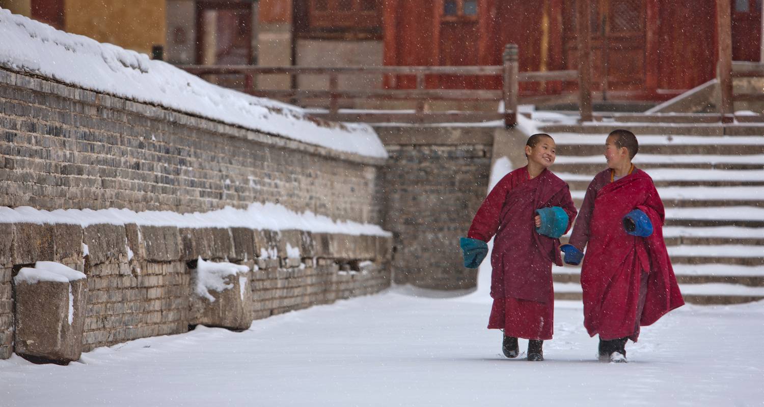 Freiwilligenprogramm, um dem buddhistischen Kloster in Amarbayasgalant Englisch beizubringen - TTRMongolia