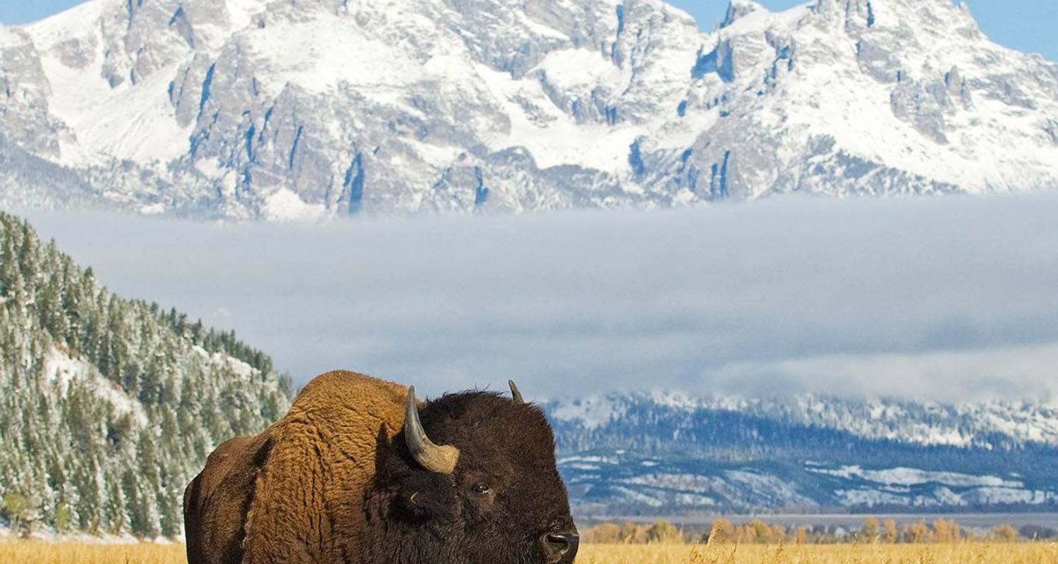 Wunder der Nationalparks (8 Destinationen) - Trafalgar