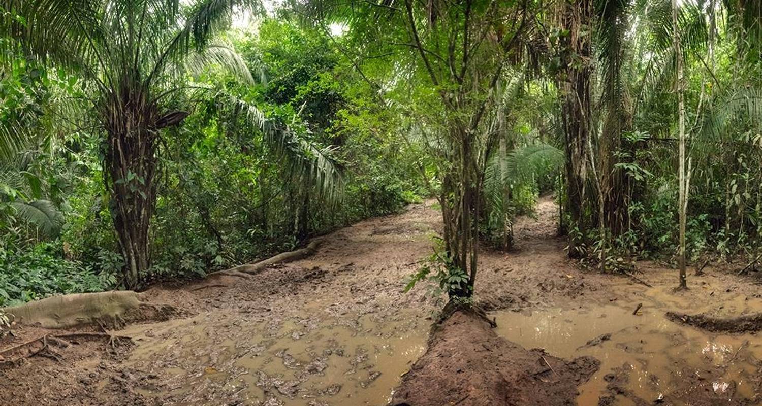 Puerto Maldonado Amazonas Flugexpedition 3T/2N (von Cuzco) - Bamba