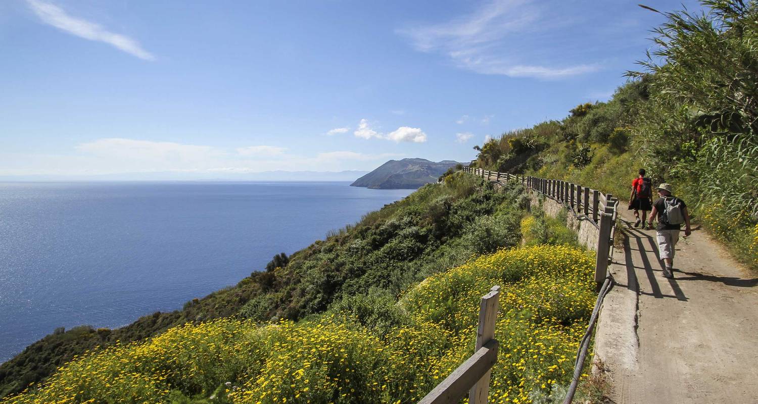 Walking Piedmont and the Barolo Wine Region - G Adventures