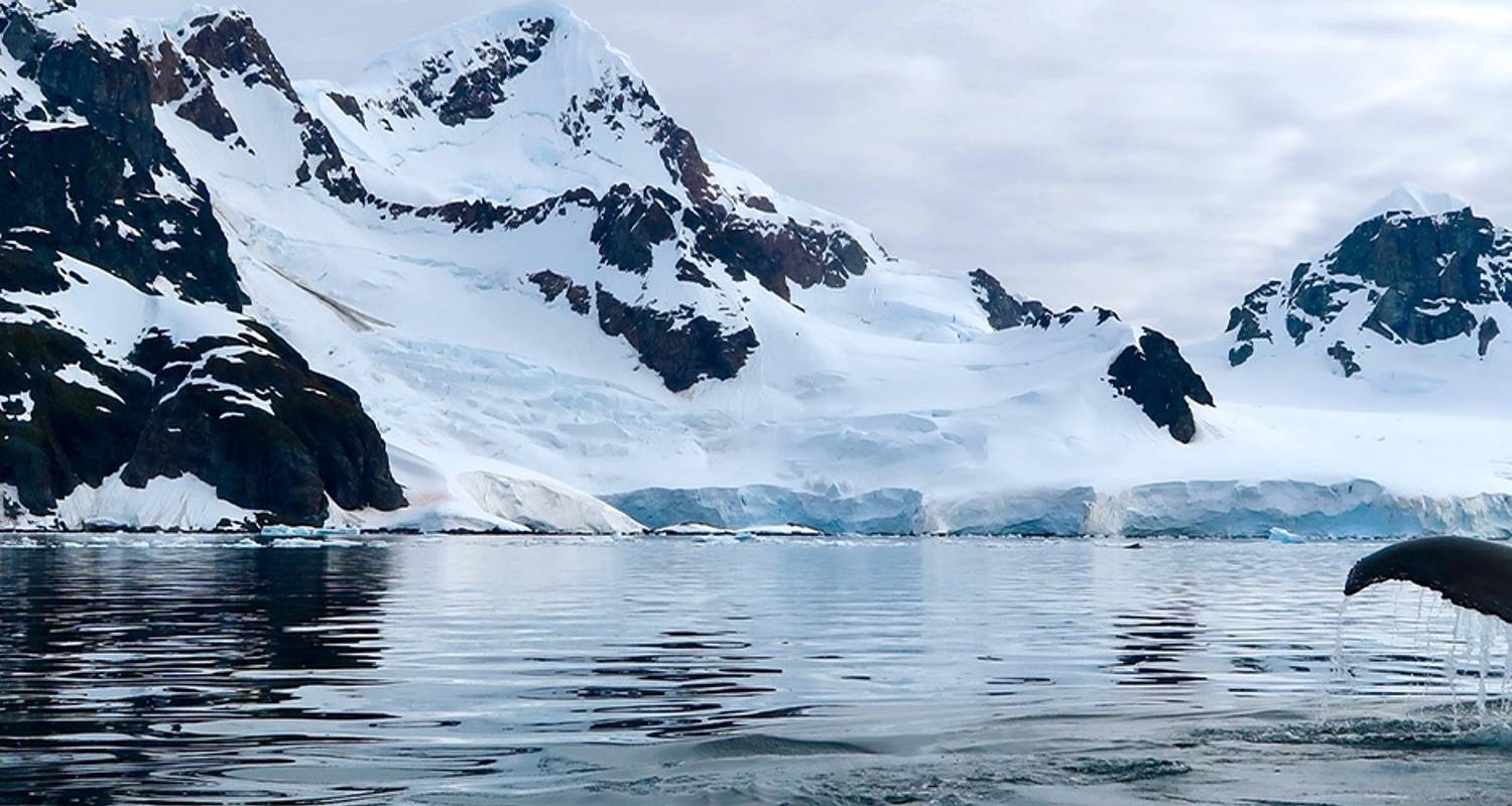 Antarctic Explorer with Cape Horn and Diego Ramirez from Buenos Aires - Intrepid Travel