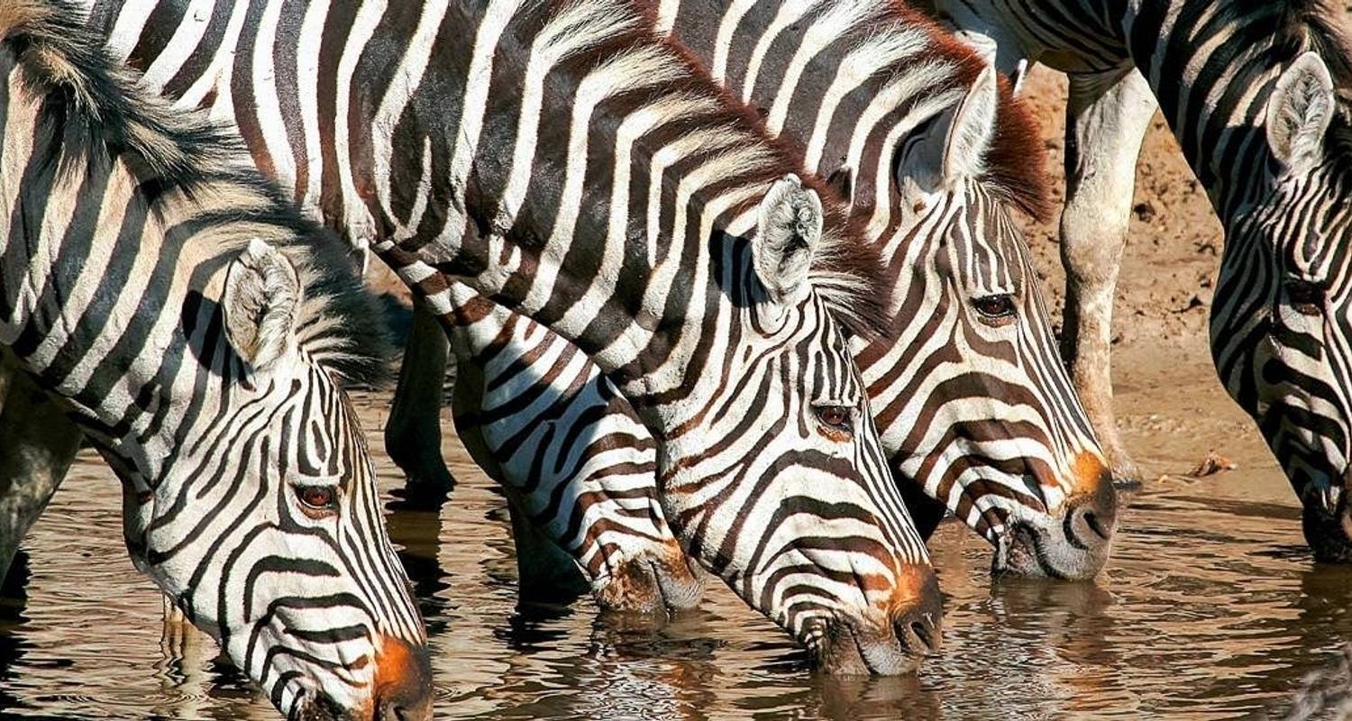 Okavango Experience - Chamaeleon Reisen