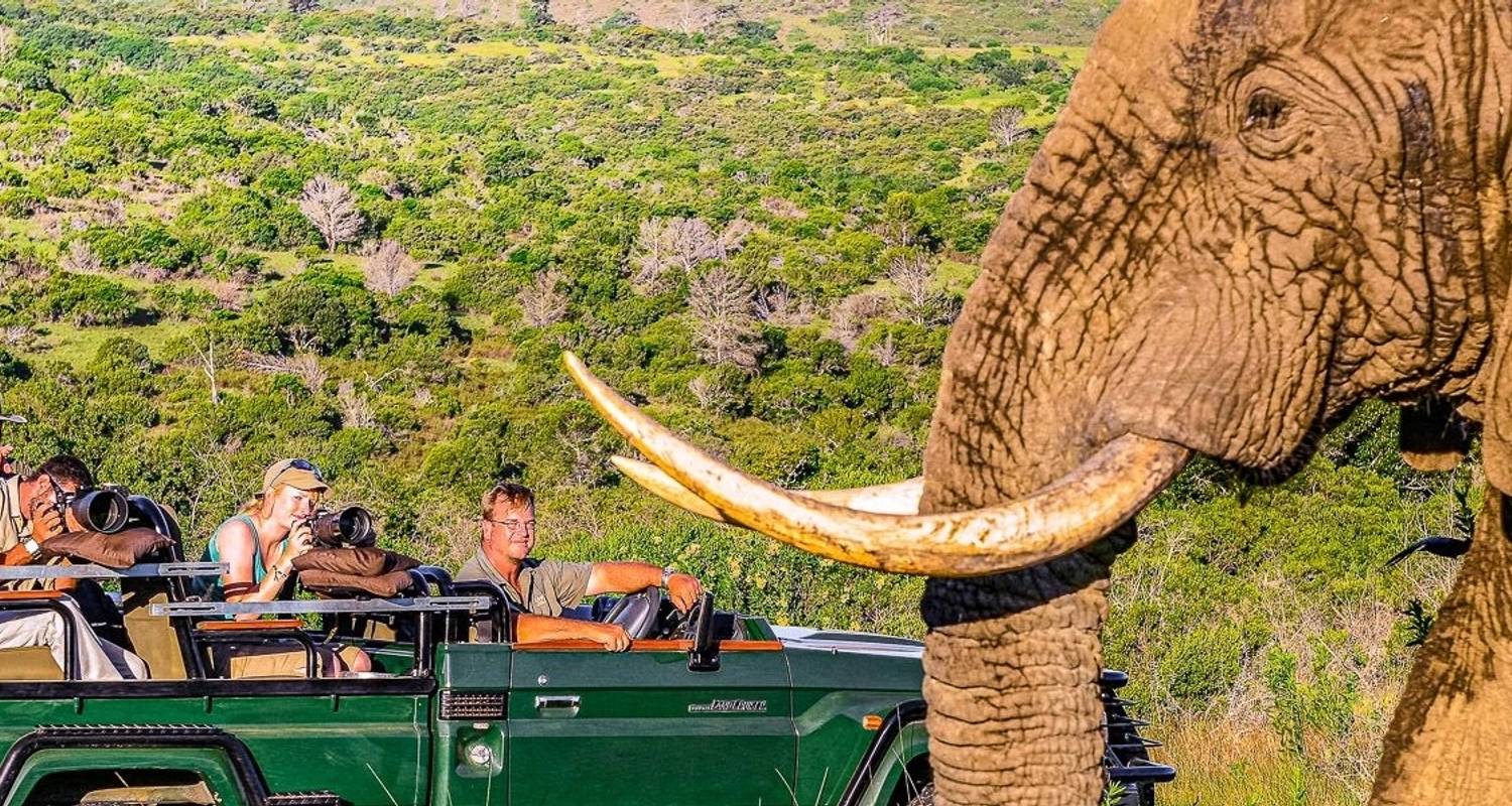 Kruger Adventure - Chamaeleon Reisen