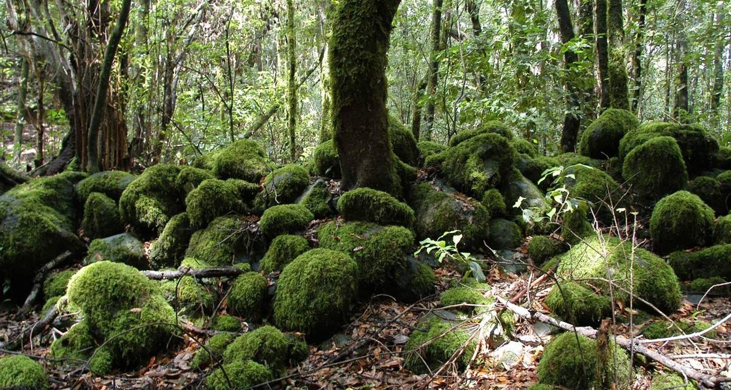 Voyages romantiques et lunes de miel en La Gomera pour les couples