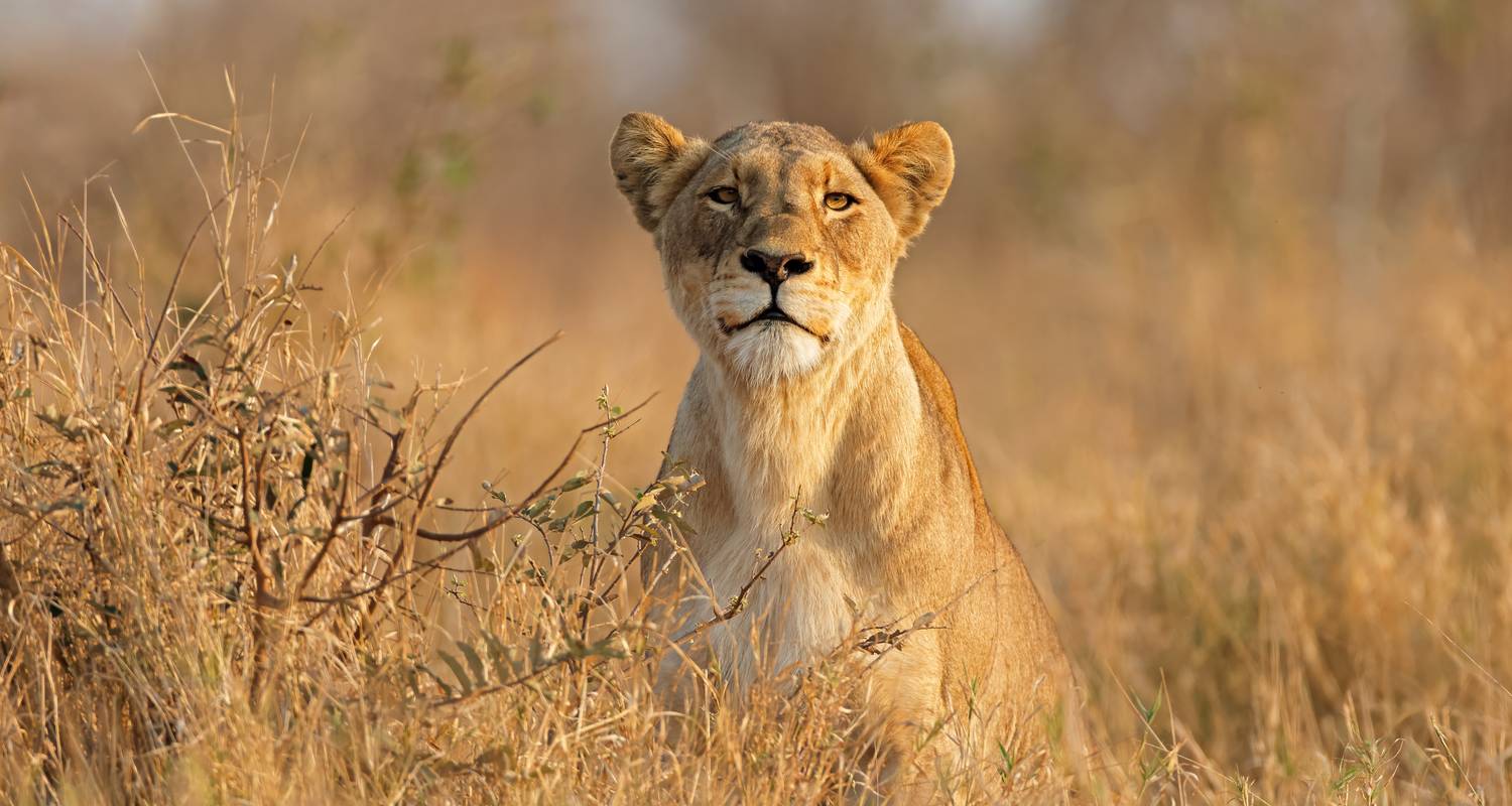 Wandern & Trekking in Südafrika