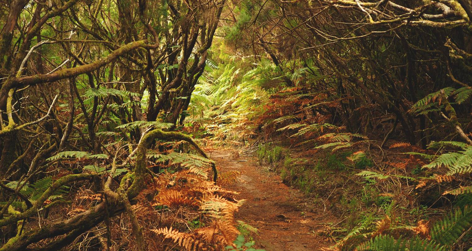 Singlereisen in Madeira