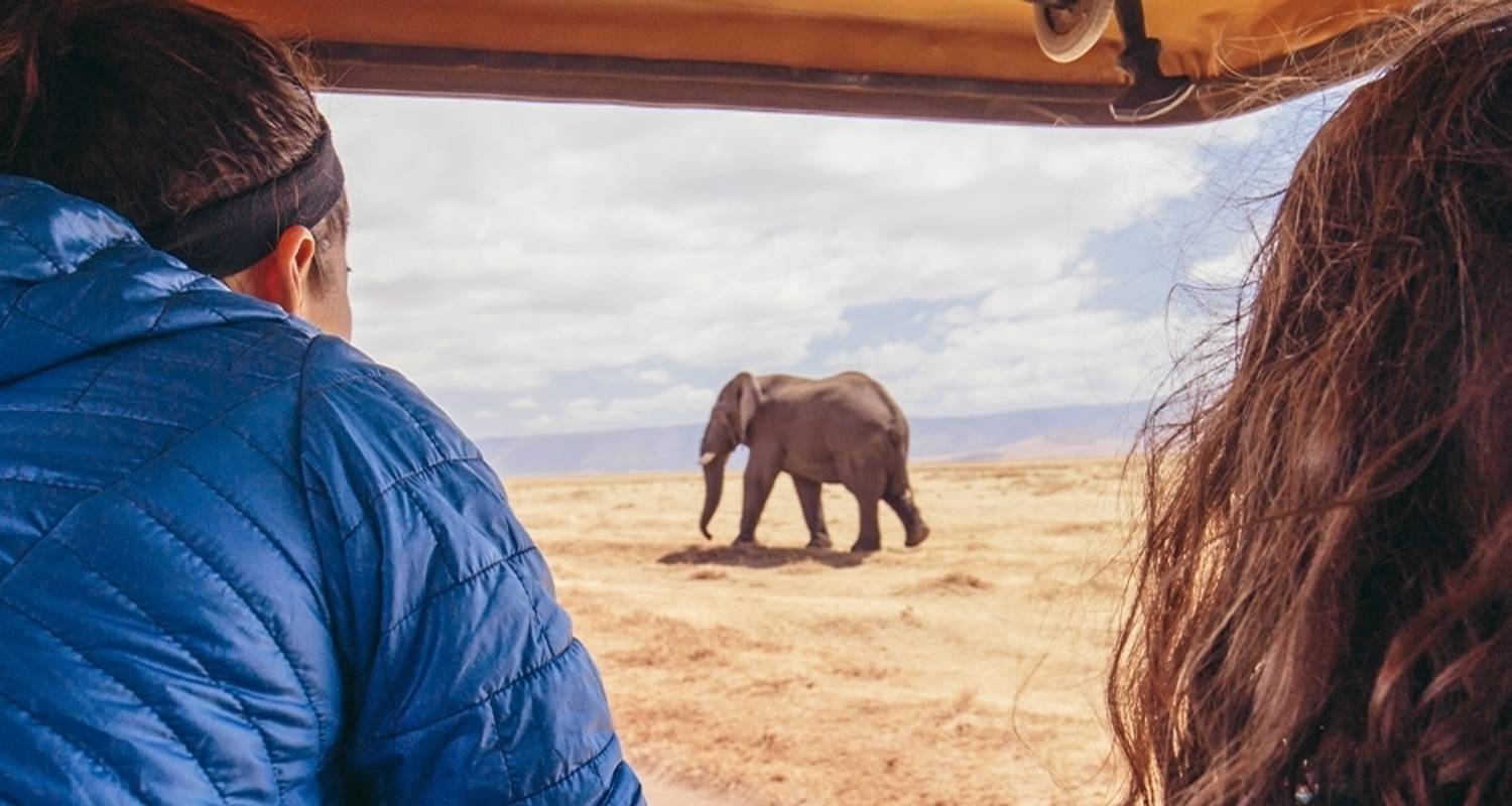 Premium Tanzania - Intrepid Premium