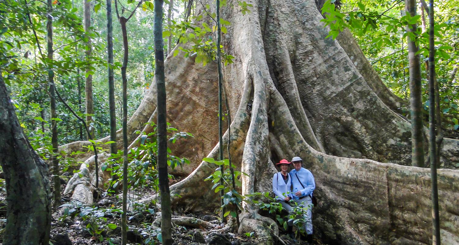 Private Tour: Two-day Nam Cat Tien National Park From Ho Chi Minh City - Hoi An Express