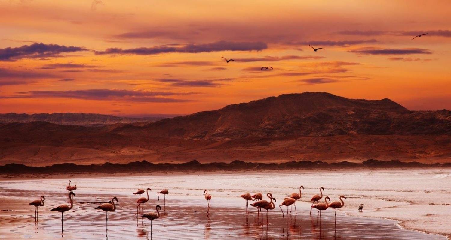 Desiertos de Namibia, Excursión Privada (Bajo petición) - ATC Group