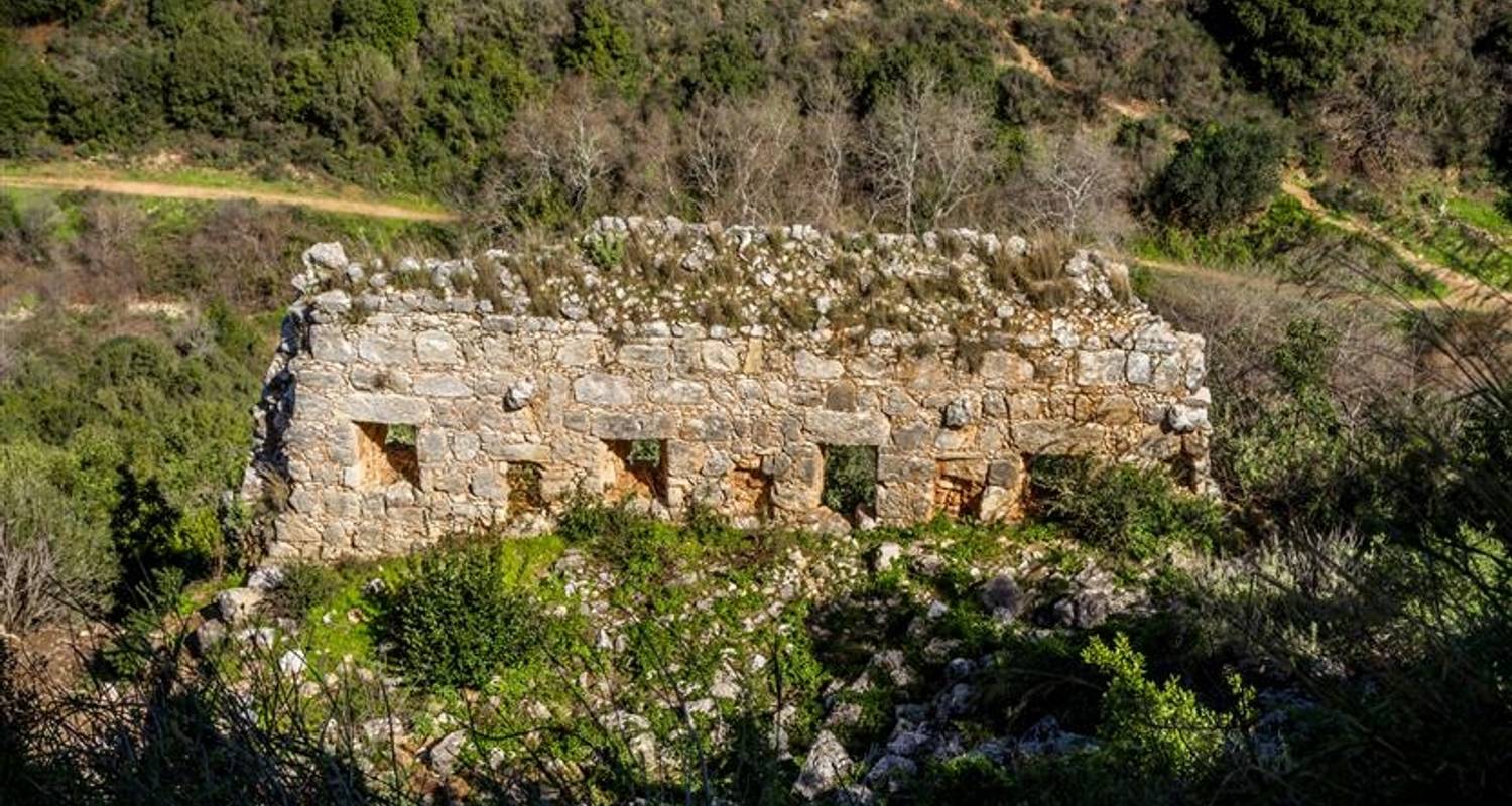 Galilee, Golan, Caesarea and Acre 3 days (2+Travelers, 4* Hotel) - Booking Tours