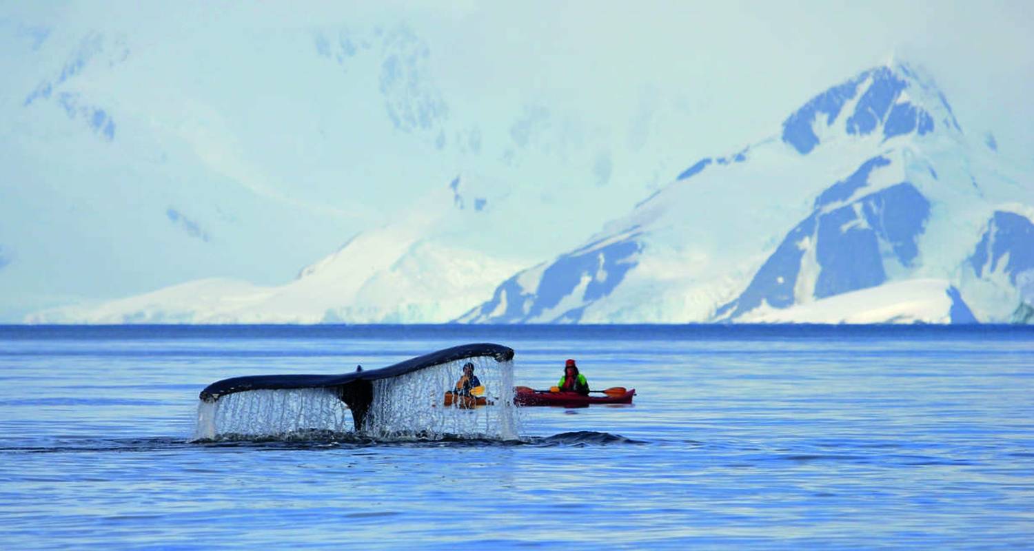 Classic Antarctica - M/V Ushuaia (Xl) - Explore!