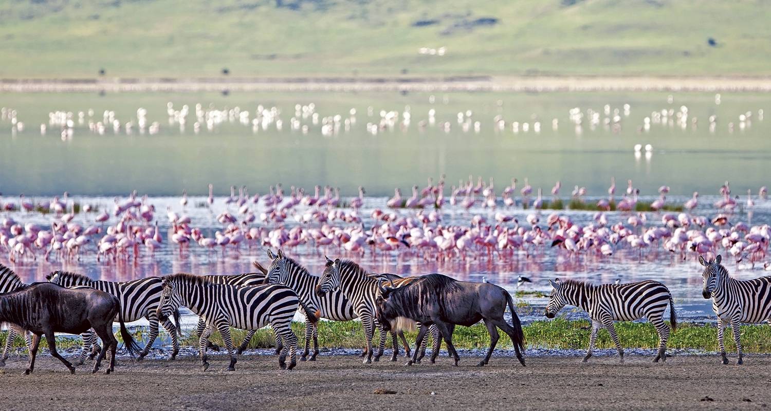 South Africa & Victoria Falls (14 destinations) - Scenic Luxury Cruises & Tours