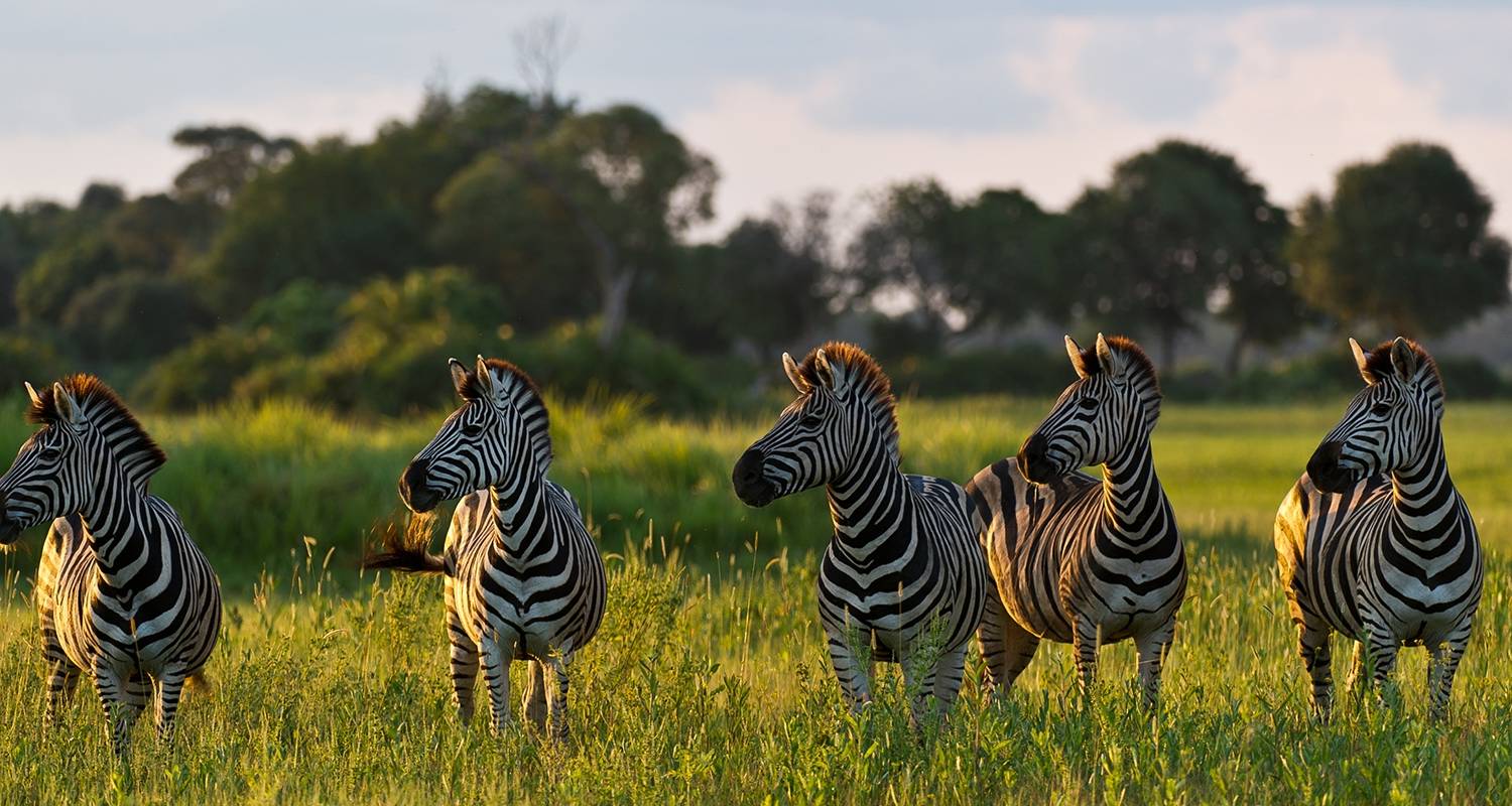 Ultimate African Expedition - Scenic Luxury Cruises & Tours