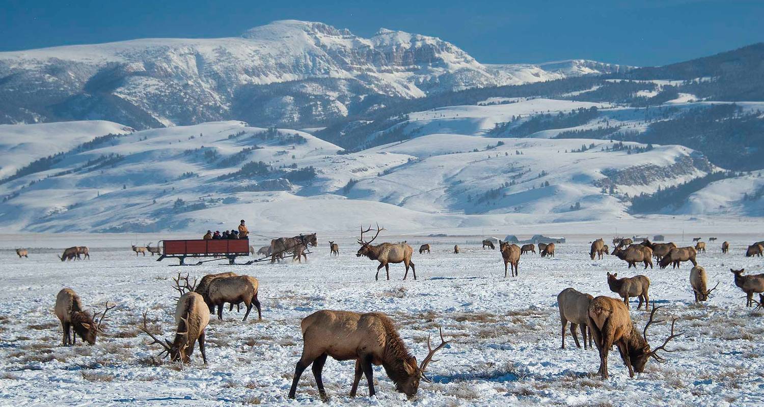 Grand Teton Nationaal Park Rondreizen