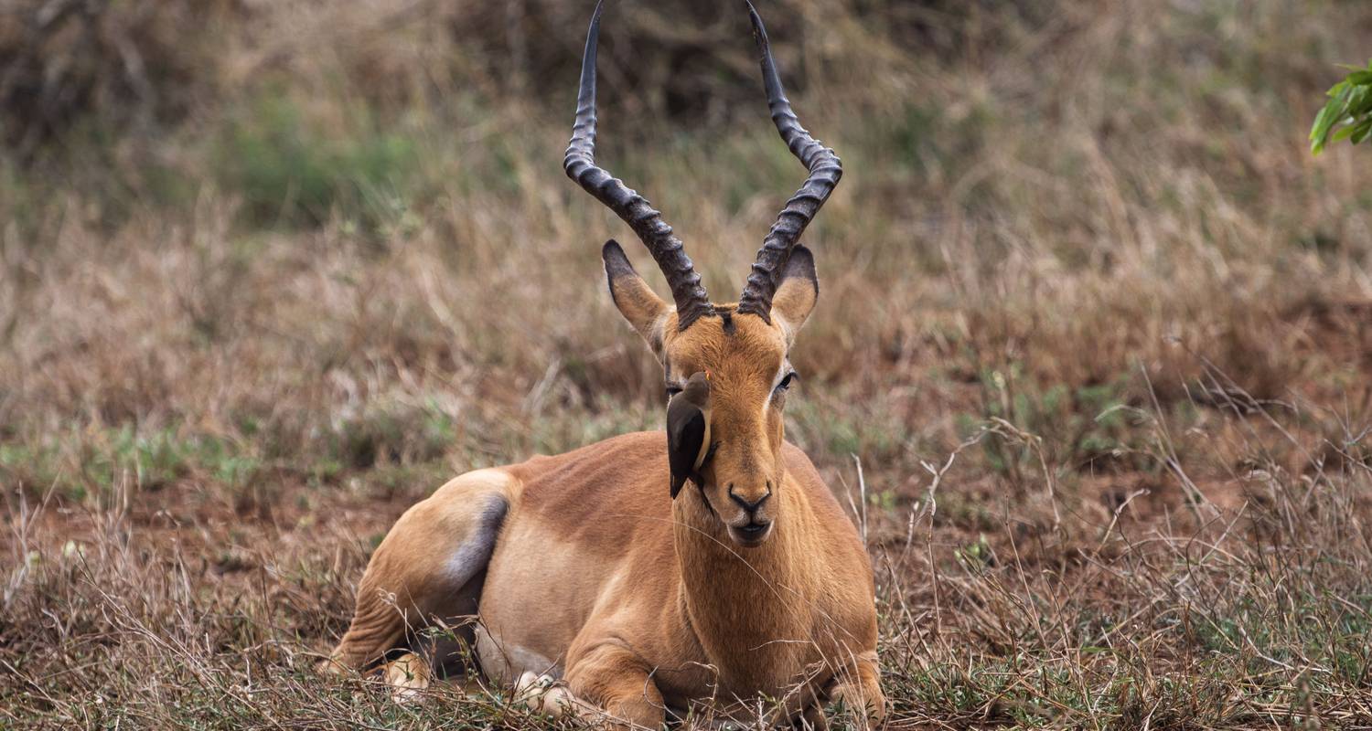 Kruger and Swazi Overland: Mountains & Village Culture - G Adventures