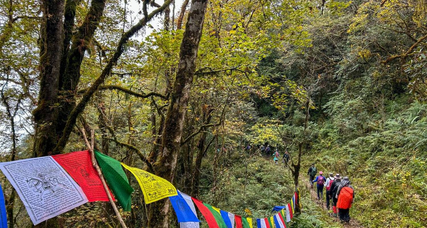 Hiking & Trekking Tours & Trips in Bhutan