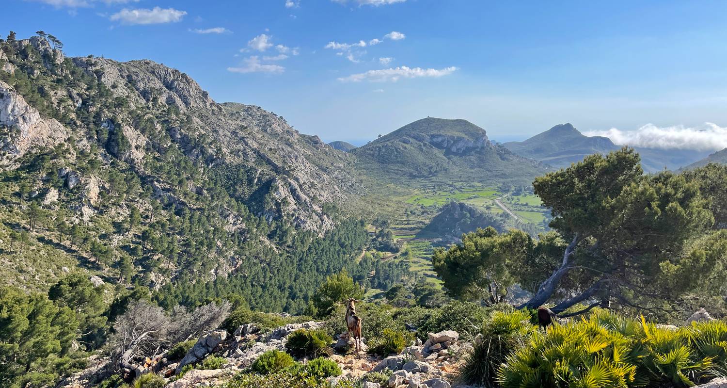 Mallorca Rundreisen