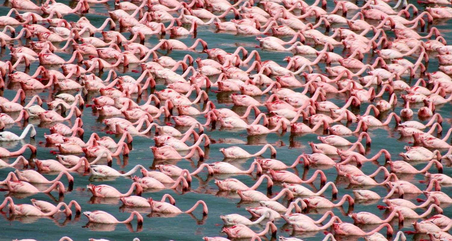 Tansania Rundreise und Baden