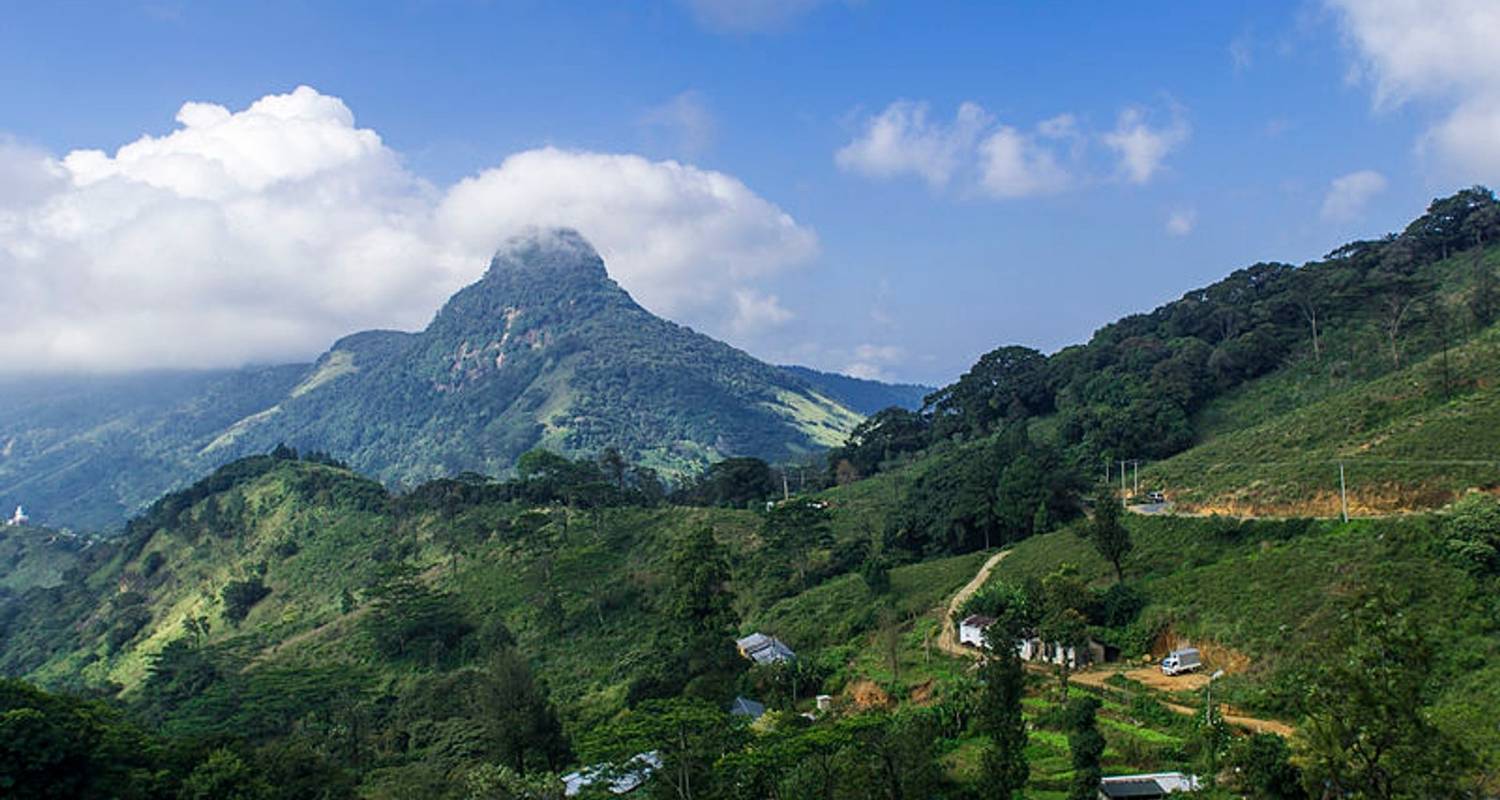Naturaleza y Vida Silvestre Circuitos en Asia