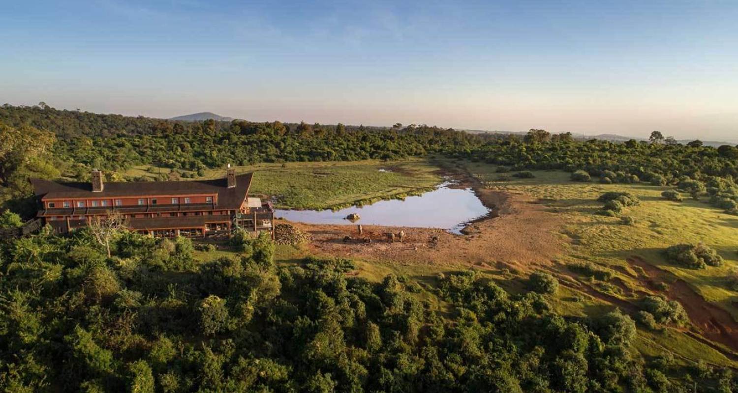 4 Días Susurros de lo Salvaje | Esplendor Escénico (Parque Nacional de Aberdare) - African Breeze Safaris