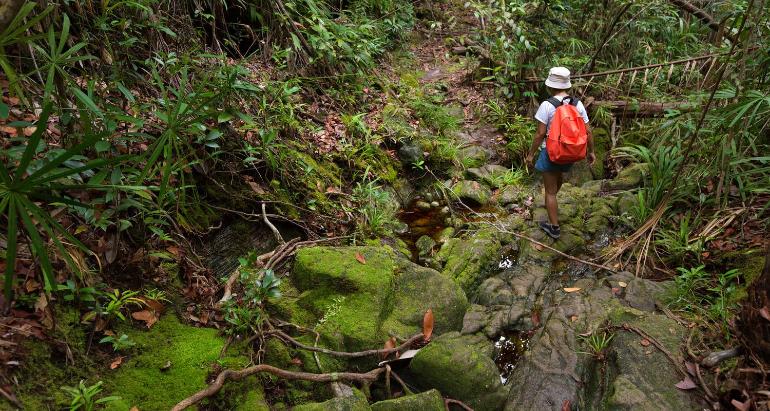 Découverte de Bornéo, Sarawak et Sabah - Explore!