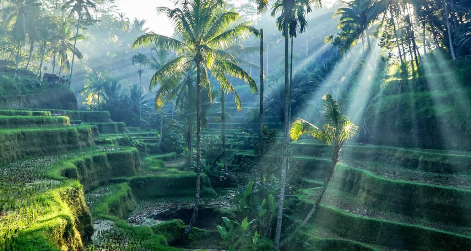 Bali Circuitos 2 Semanas