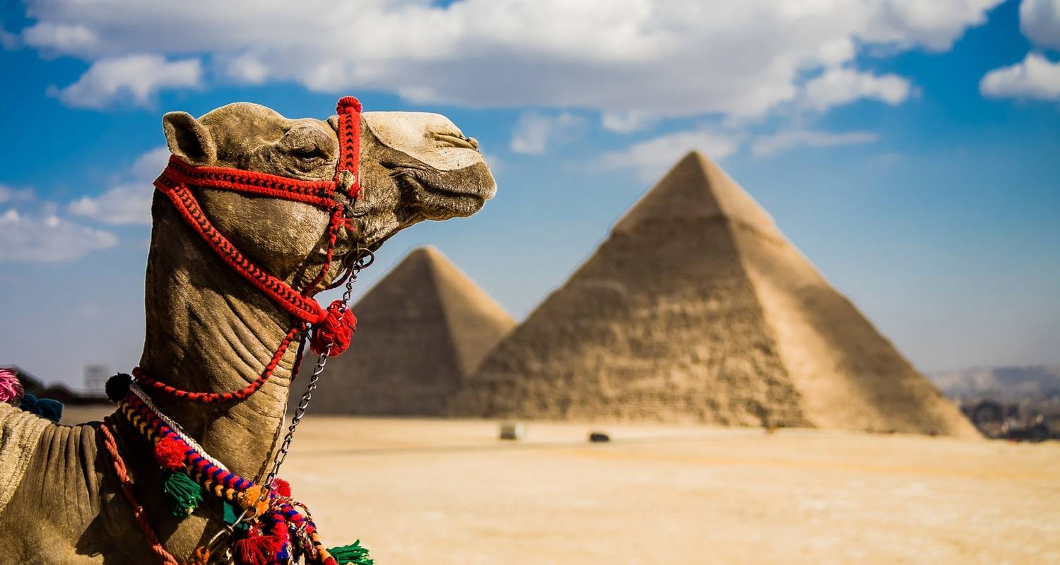 3 Tage voller Wunder: Entdecken Sie Gizeh, Kairo & Alexandria - Marko Egypt Tours
