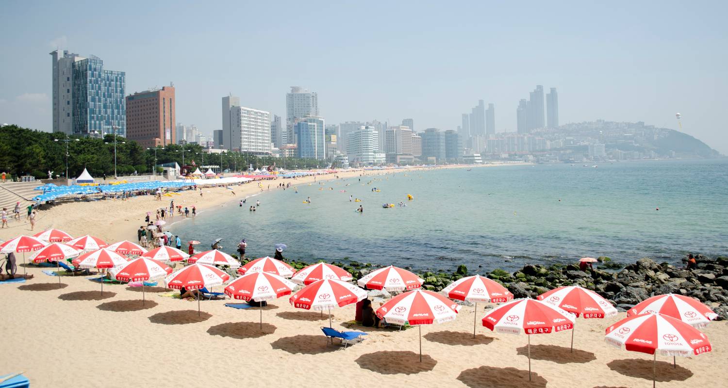 Korea Abenteuer für die ganze Familie - 9 Tage - The Dragon Trip