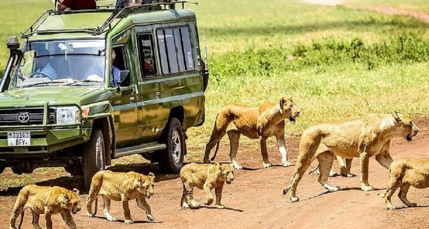 3-Day Tanzania Tour Packages