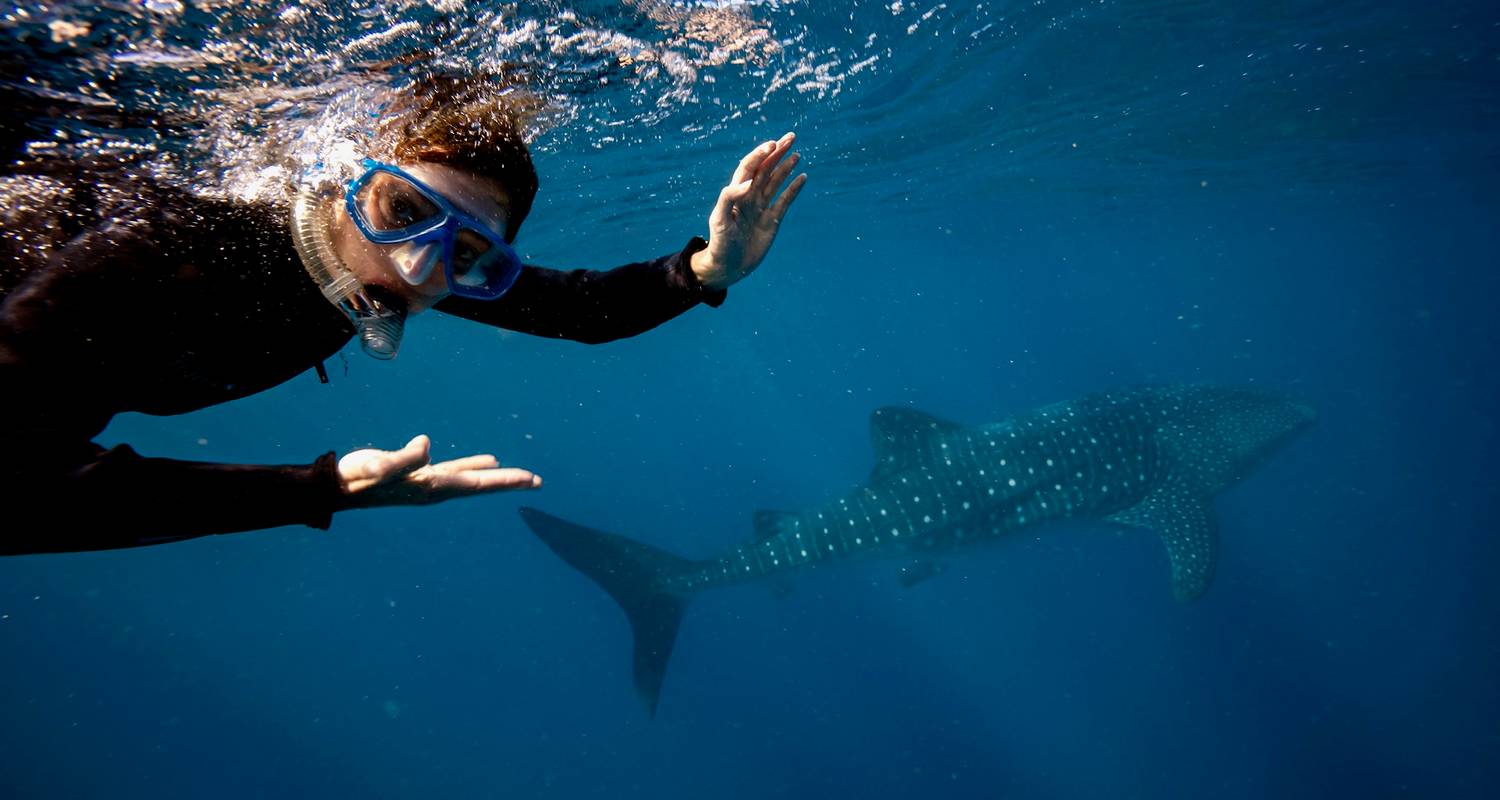 Naturaleza y Vida Silvestre Circuitos en Australia