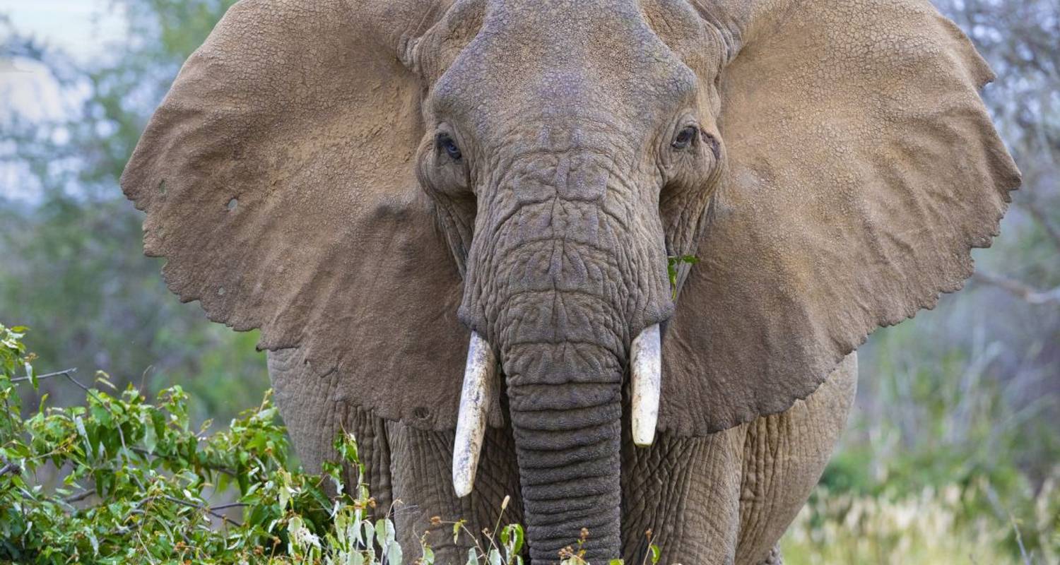 Tansania Rundreise und Baden