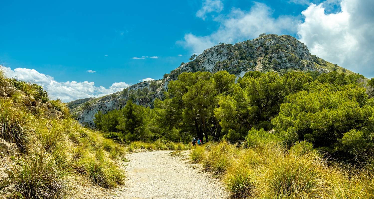 Circuits Majorque en petit groupe